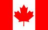 X-Large Flags