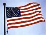 US Flag fly